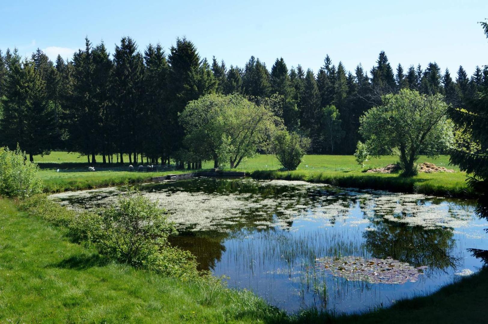 Kammbaude Neuhermsdorf Buitenkant foto